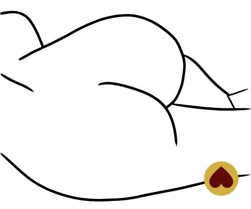 Belles fesses de femme en dessin line art