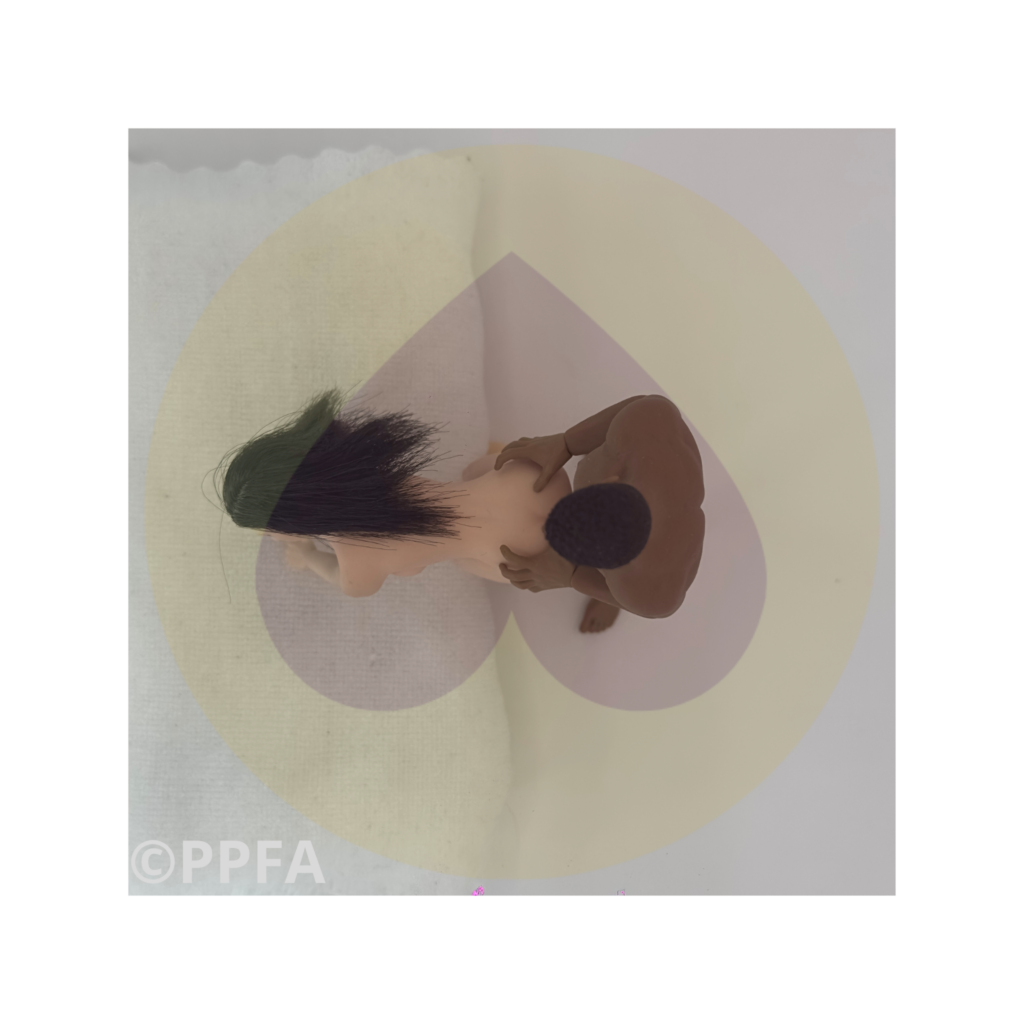 kamasutra : position sexuelle de l'union du loup